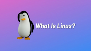 Linux Fundamentals